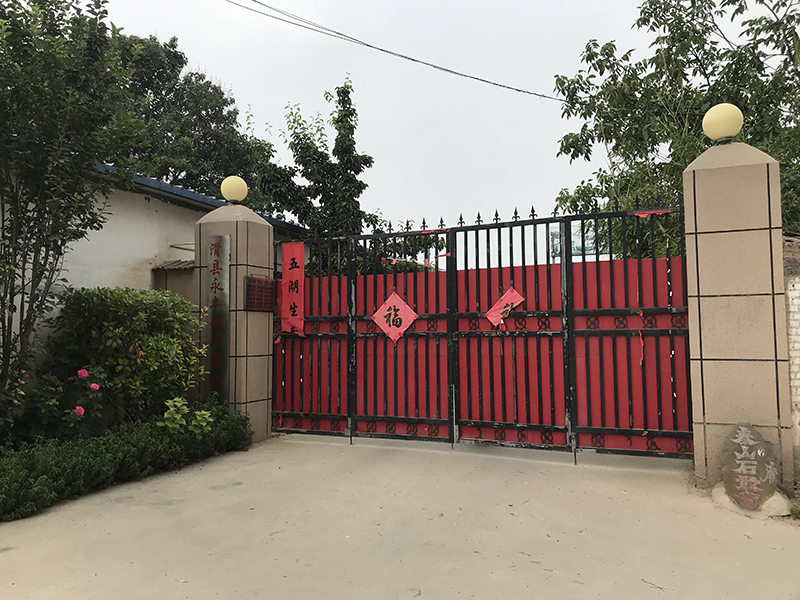 環境展示